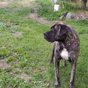 Meet your Posher, Gurneet